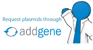 Logo addgene